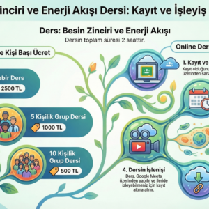 Besin Zinciri ve Enerji Akışı